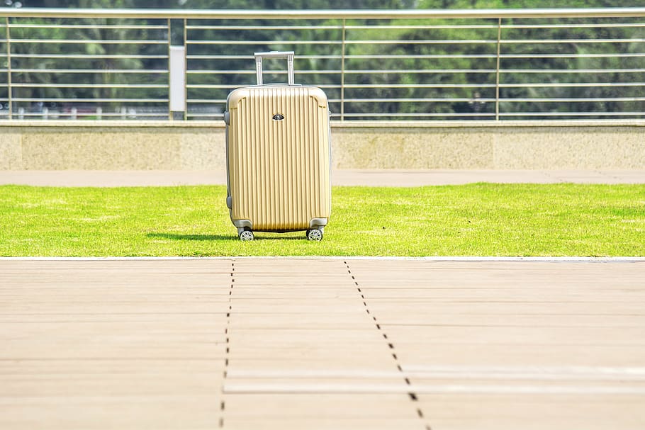 luggage on wheels, case, outdoors, grass, green color, sport