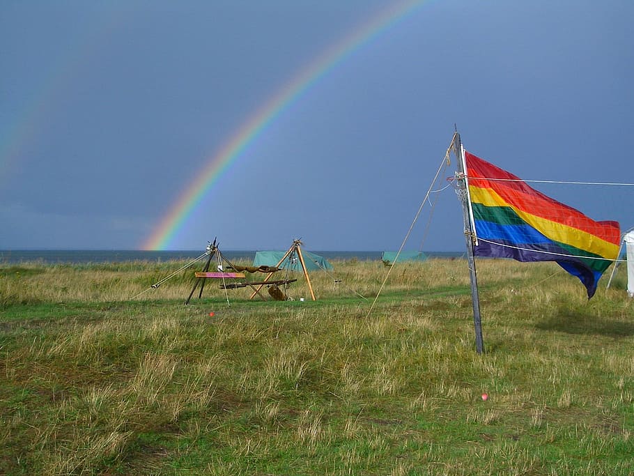 Landscape, Rainbow, Flag, Grass, Plants, sea, ocean, water HD wallpaper
