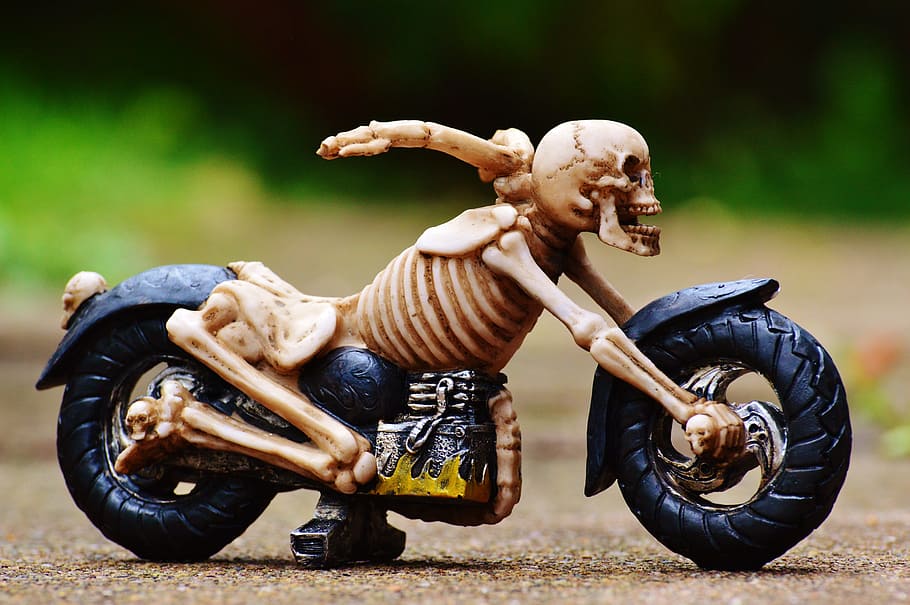 Biker, Skeleton, Creepy, Weird, decoration, scary, bone, horror HD wallpaper