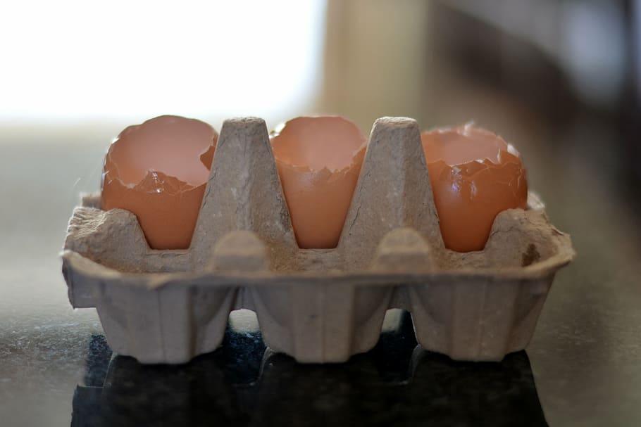 egg containers, empty containers, eggs, food, food and drink HD wallpaper