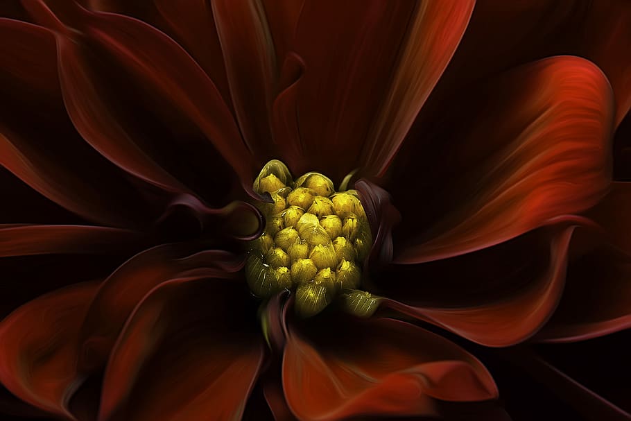 Heart Light, red petaled flower 3D, texture, petals, curves, freshness HD wallpaper