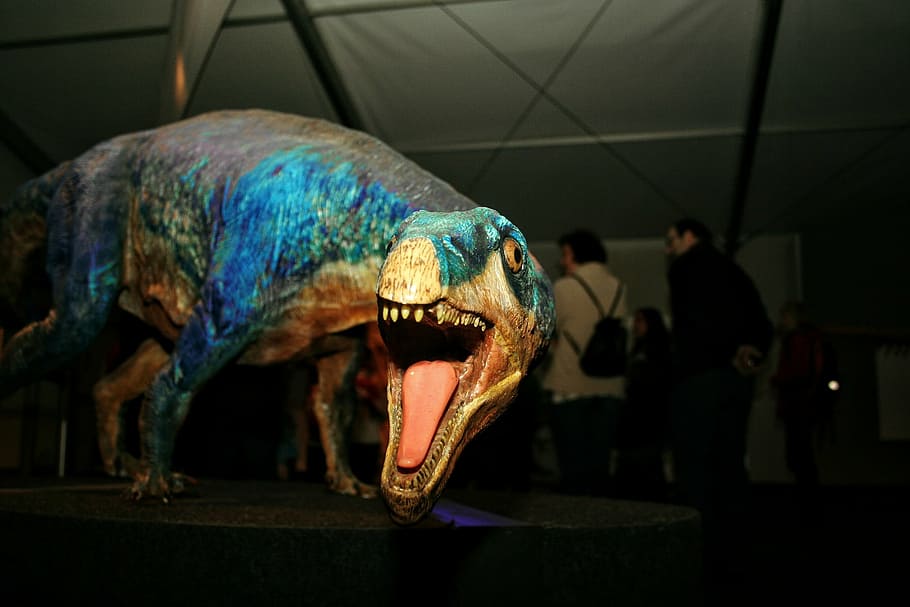 dinosaur, model, foot, tooth, urtier, replica, carnivores, one animal HD wallpaper