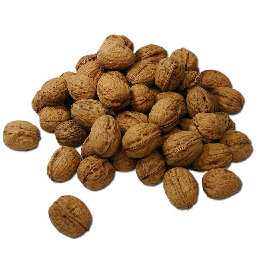 pile of walnuts, white background, studio shot, indoors, nut - food HD wallpaper