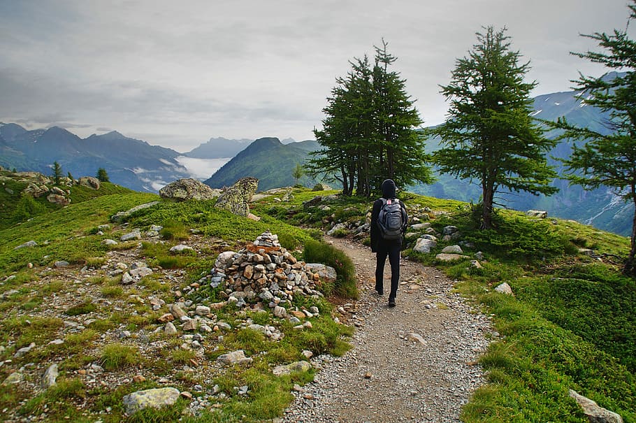 person wearing black leather backpack walking beside green leaf tree, person walking on hill near mountains HD wallpaper