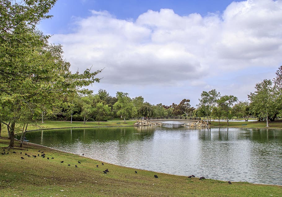 Park, Lake, Tree, Water, Nature, landscape, outdoor, tranquil HD wallpaper