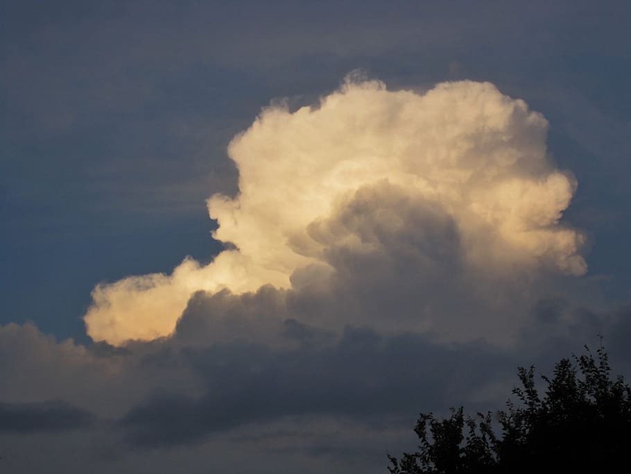 Cloudy, Fluffy, White, Darkness, evenings, silhoutte, trees HD wallpaper