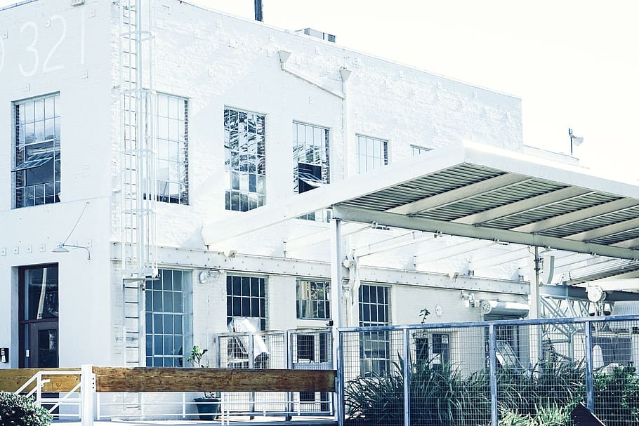warehouse, building, windows, ladder, white, fence, plants HD wallpaper
