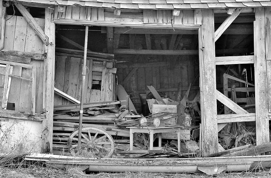 scale, leave, decay, invaded, weathered, architecture, damaged HD wallpaper
