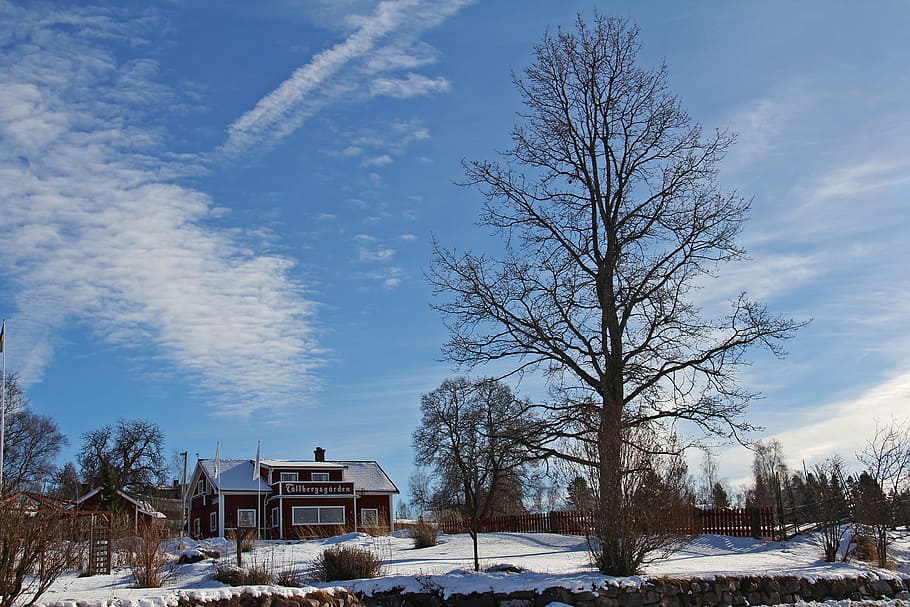 snow, winter, cold, beautiful, red, traditional, wood, cottage HD wallpaper