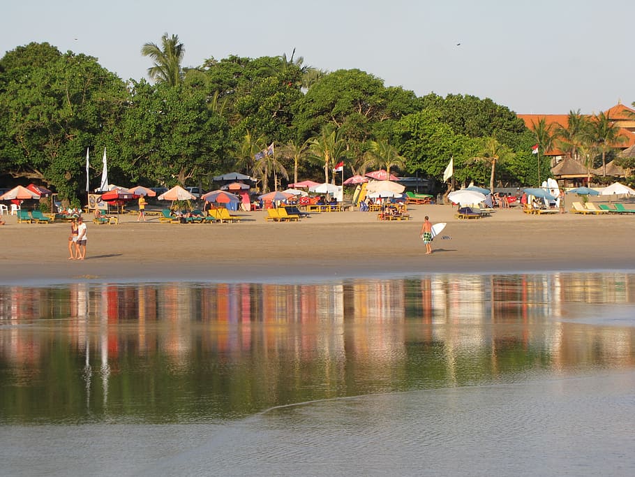 beach, indonesia, reflection, water, tree, waterfront, plant HD wallpaper
