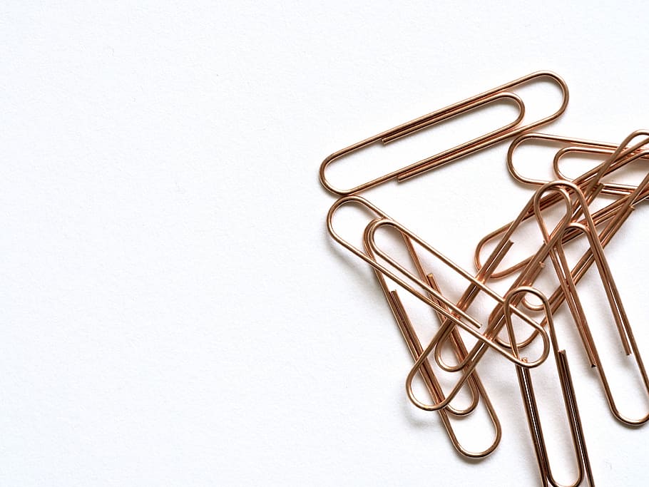 gold paper clips, composition, pencil, education, business HD wallpaper