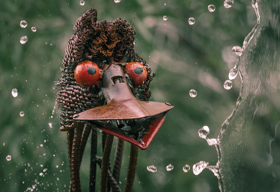emu, head, splash, iron art, talking, speaking, green, rust HD wallpaper