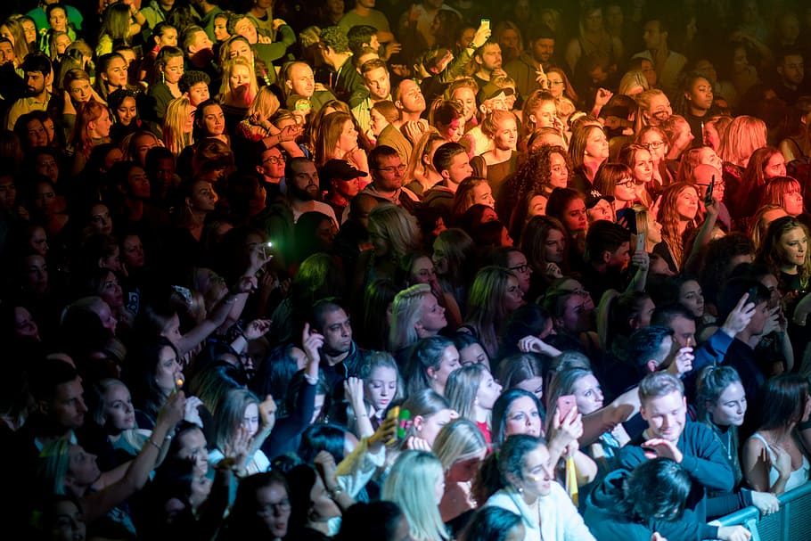 people standing near stage, people gathered for a concert, crowd HD wallpaper