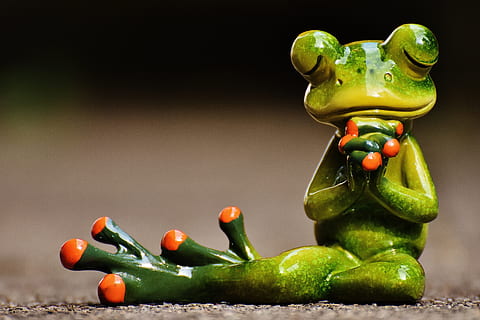 shallow photography of ceramic praying frog sitting on gray concrete flooring HD wallpaper