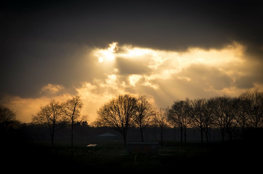 evening, twilight, evening red, air, silhouette, vote, sunset HD wallpaper