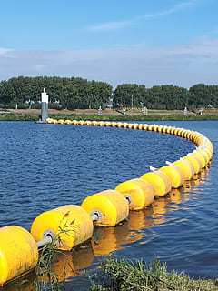 mesh, kessel, water, river, plant, nature, yellow, day, sky HD wallpaper