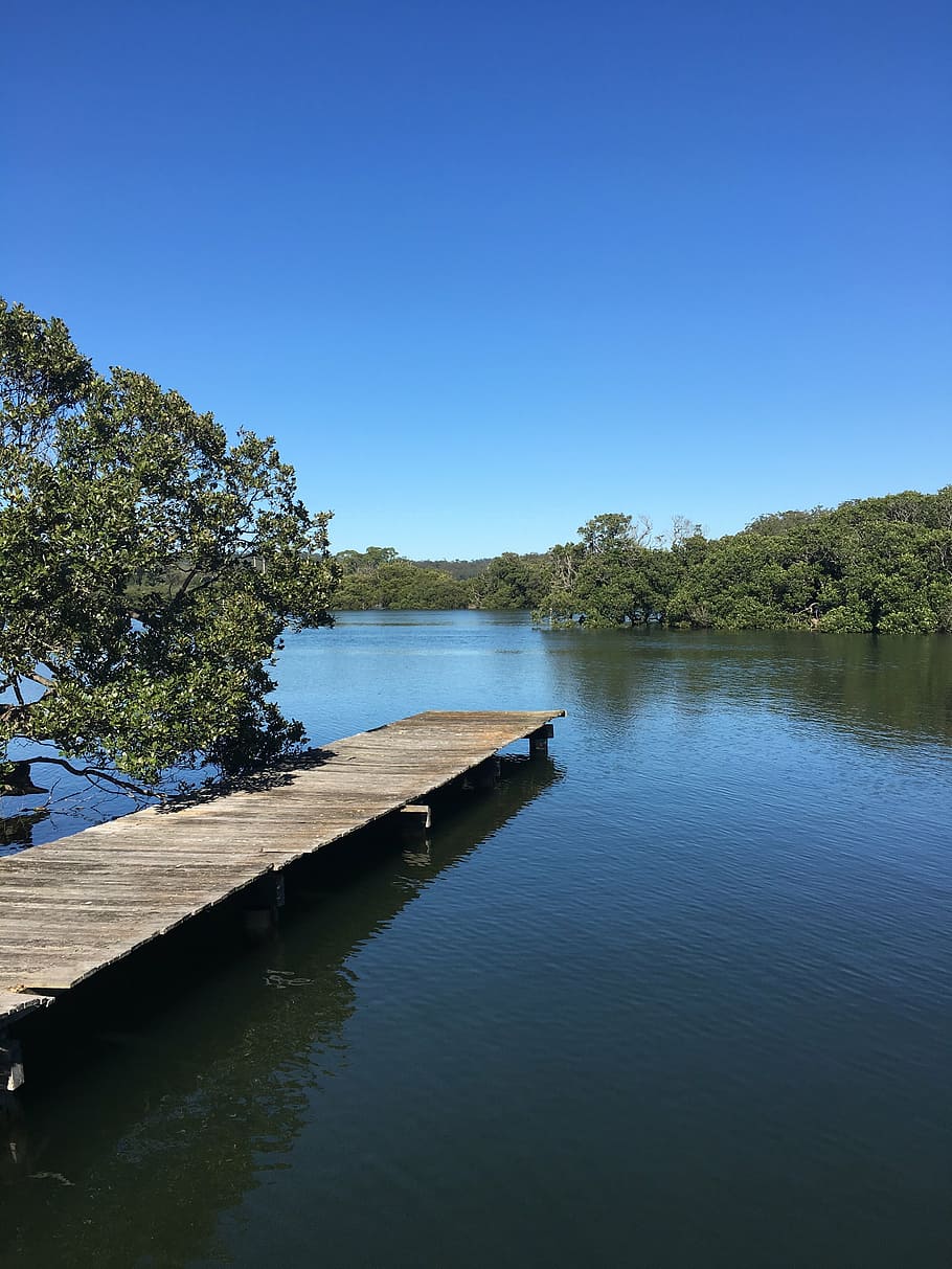 riverview, blue sky, pier, nature, lake, tree, outdoors, water