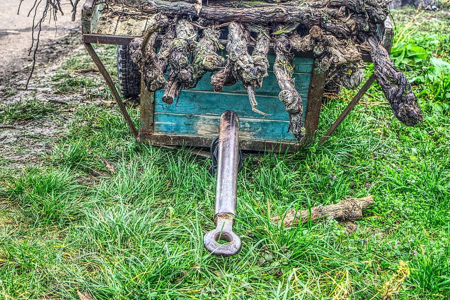 trailers, tractor, agriculture, wine, vines, rebknorzen, wood HD wallpaper
