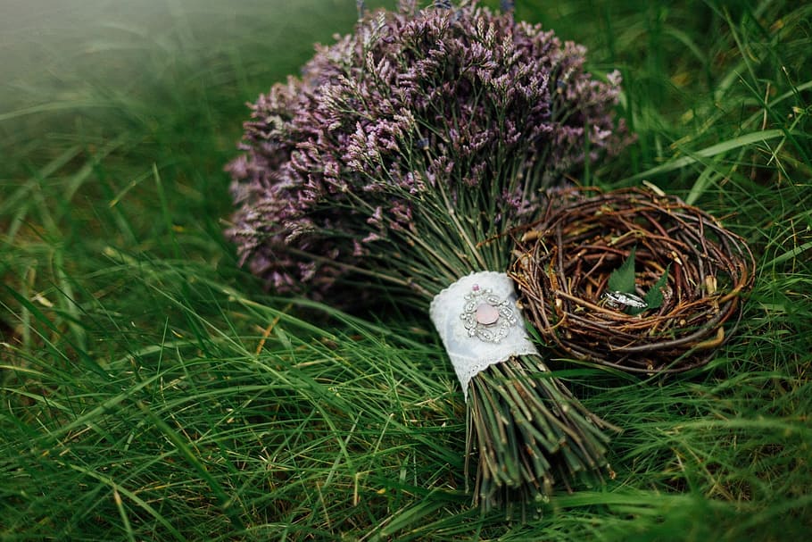 wedding, jack, ring, lavender, plant, grass, nature, bird, flower HD wallpaper