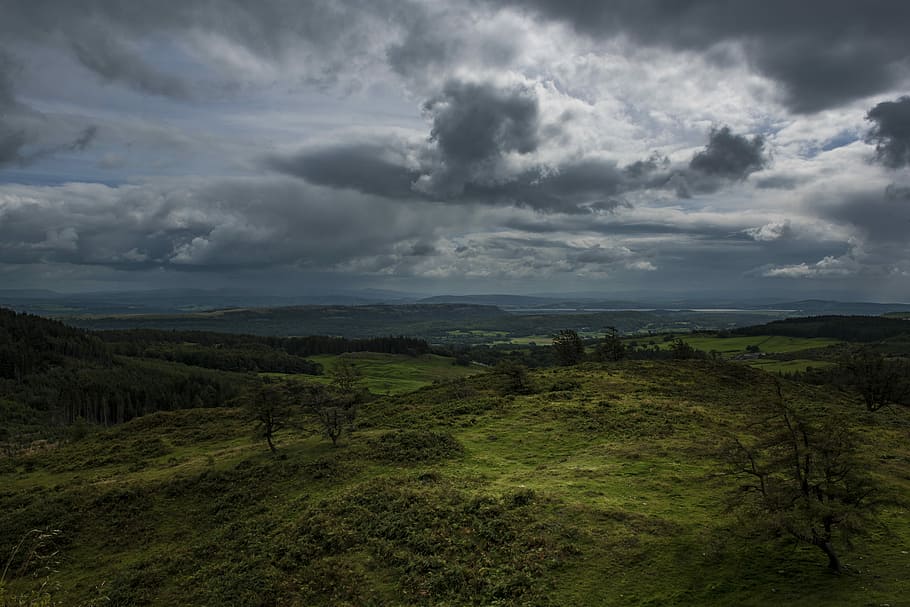 green grassland, green grass field under cloudy skies, tree, hill HD wallpaper
