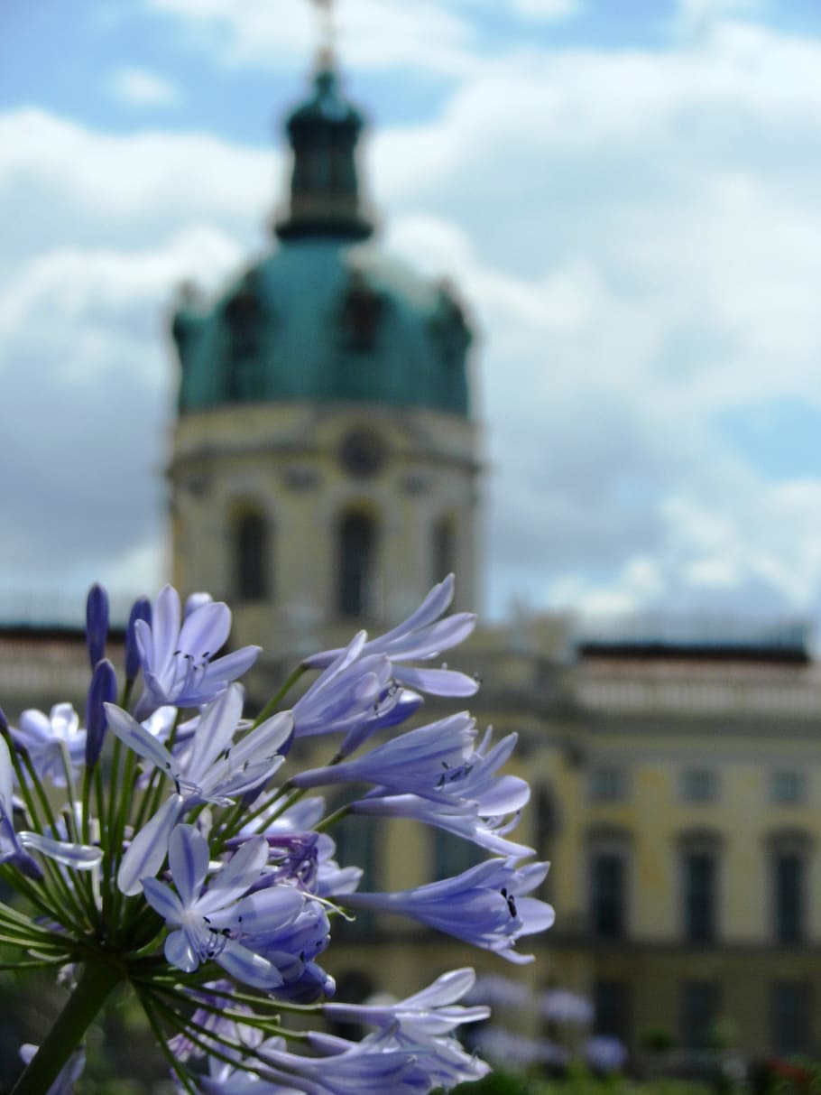 castle, the palace, sky, monument, charlottenburg, tourism HD wallpaper