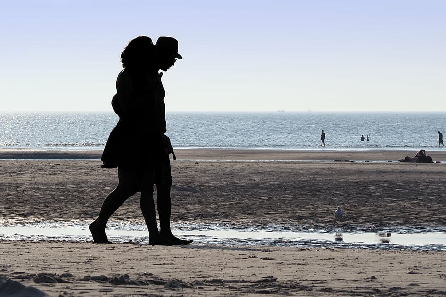 beach, back light, human, coast, water, sea, mood, north sea HD wallpaper