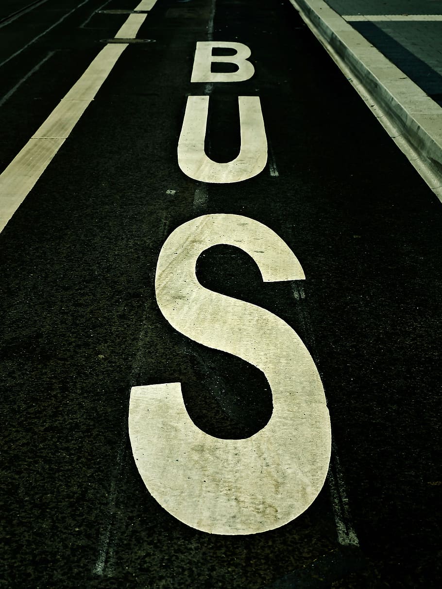 Bus printed lane asphalt road, bus stop, traffic, lettering HD wallpaper