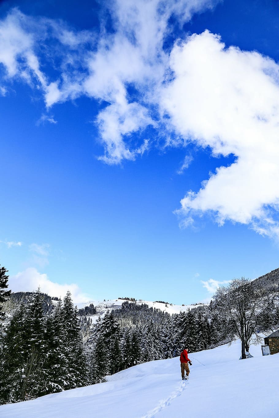 blue, white clouds, snow, winter, sport, outdoors, mountain HD wallpaper