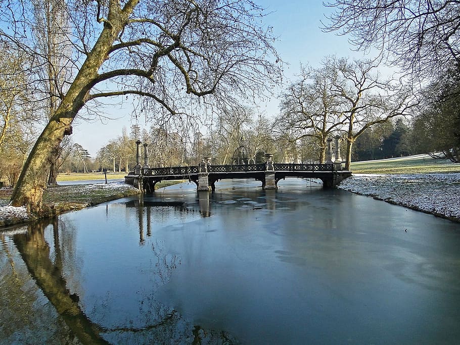 bridge, winter, water, ice, channel, france, reflections, frost HD wallpaper