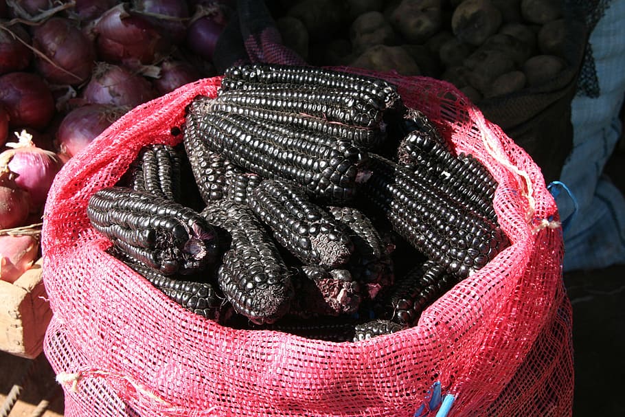 Black, Market, but, outdoors, close-up, day, no people, animal themes HD wallpaper