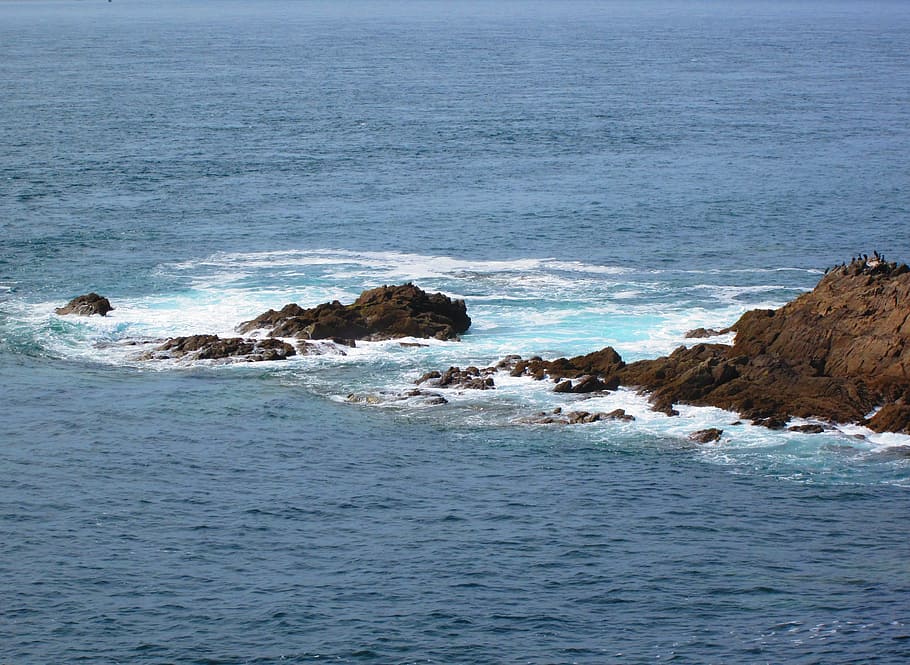 Sea, Ocean, Seaside, Atlantic, shore, france, nature, wild coast HD wallpaper
