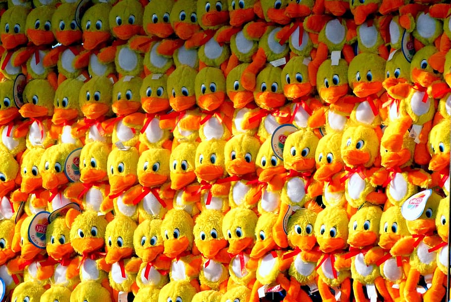 Ducks, Stuffed, Animals, Birds, Yellow, orange, toys, plush HD wallpaper