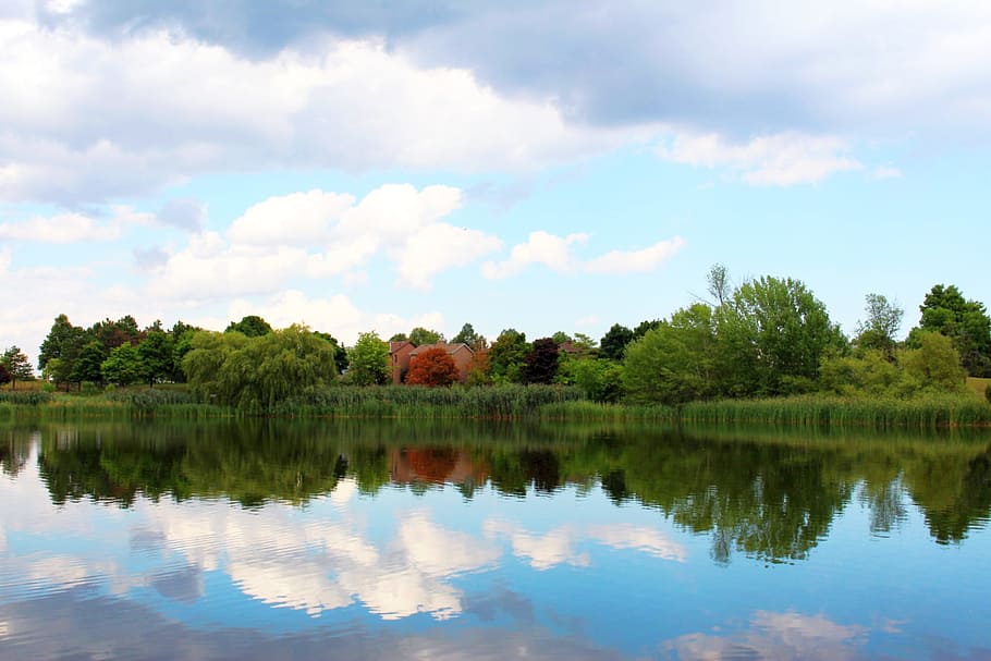 view, panorama, landscape, lake, tree, vegetation, sky, clouds HD wallpaper