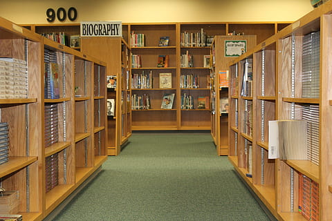 Books, Reading, Education, Study, student, school, literature HD wallpaper