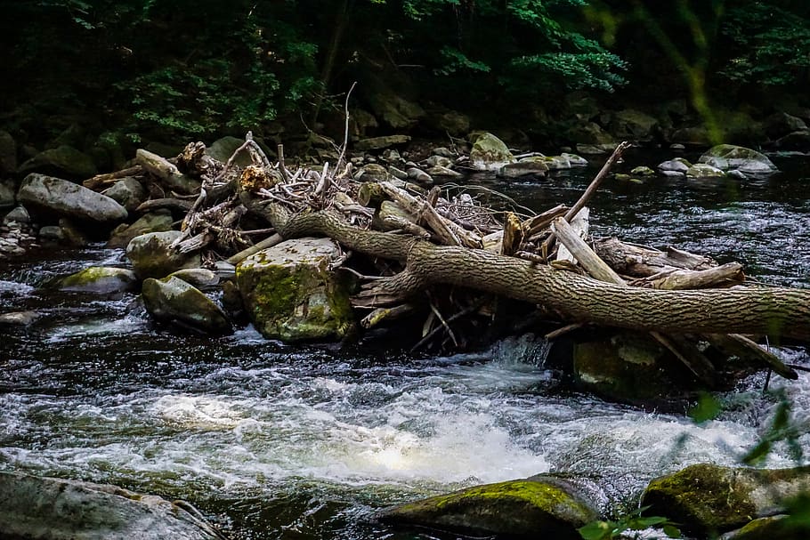 river, bach, water, landscape, nature, forest, scenic, rock HD wallpaper