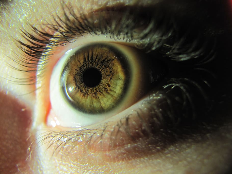 human eye, iris, szupermakró, watch, eyelash, macro, skin HD wallpaper