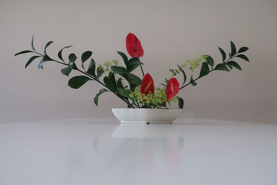 flowers, arrangement, red, plant, leaf, indoors, plant part HD wallpaper