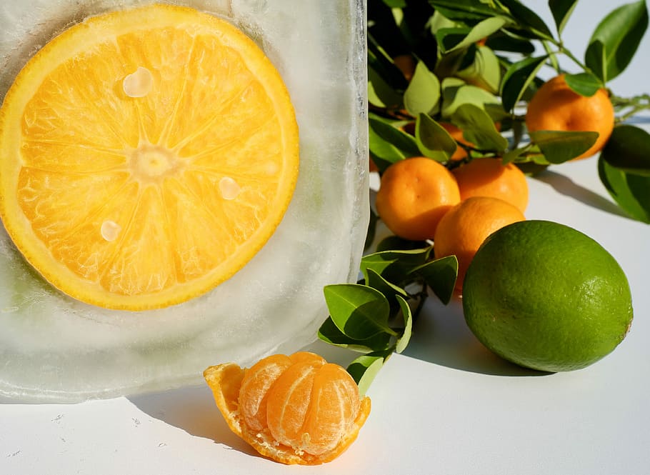 round orange fruits, sliced, frozen, eiskristalle, citrus fruit HD wallpaper