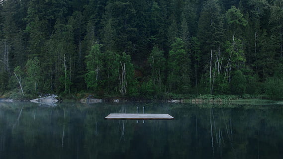 white wooden dock surrounded by water, rectangular brown board floating on body of water surrounded by trees at daytime HD wallpaper