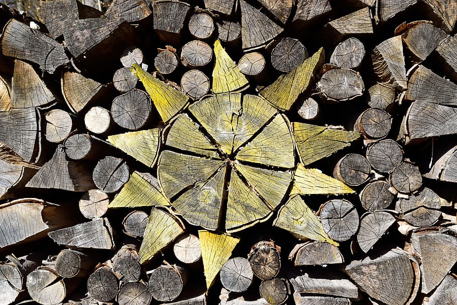 wallpaper, sample, structure, nature, closeup, abstract, wood HD wallpaper