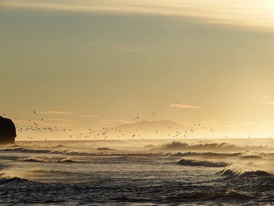 the pacific ocean, wave, surf, foam, sea, seascape, sand, beach HD wallpaper