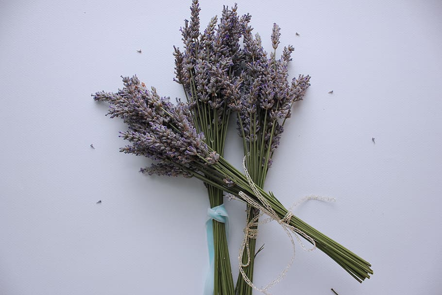 three lavender bouquets on white surface, Plants, Herbs, Aromatherapy, HD wallpaper