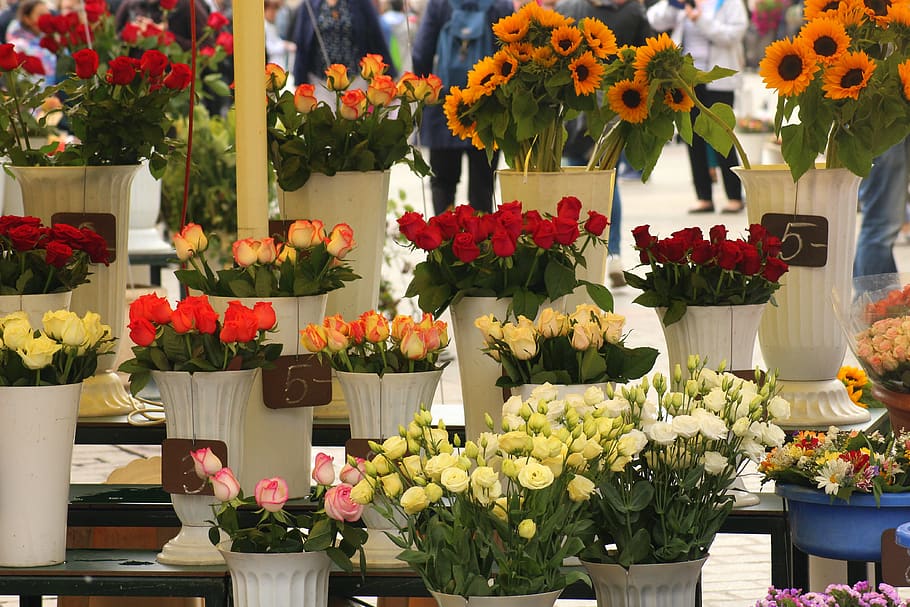 flowers, called rothmans, flower shop, bouquet, the market