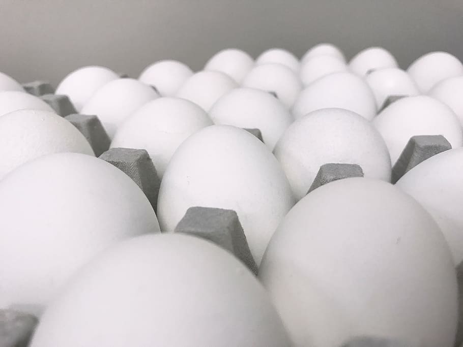 eggs, macro, white, grey, easter, chicken, natural, breakfast HD wallpaper