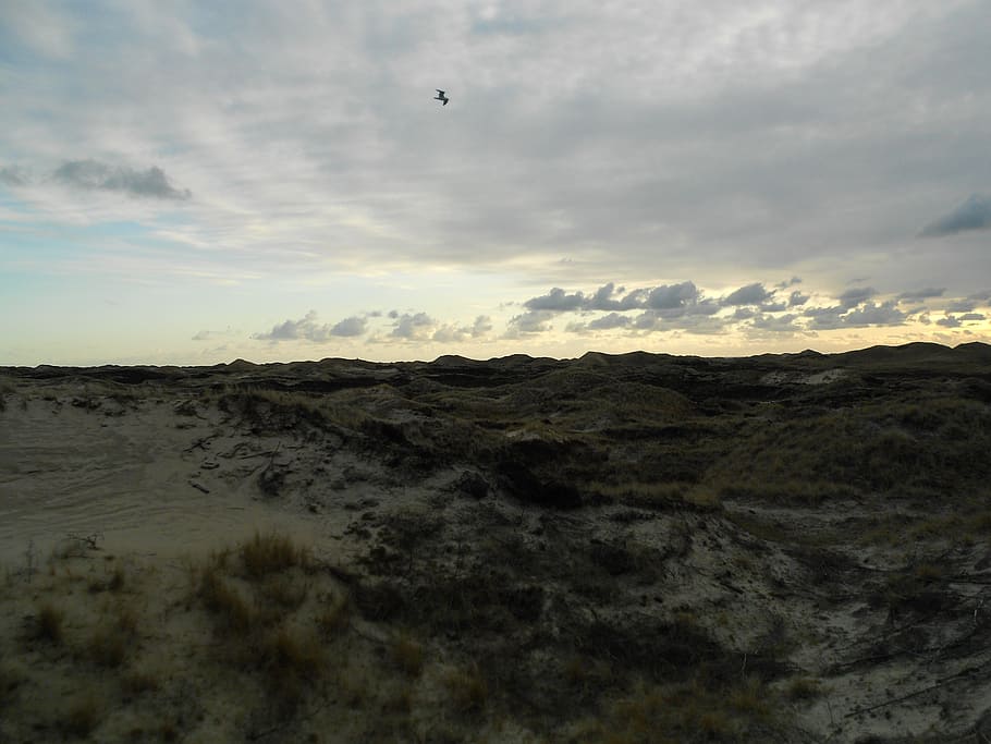 dunes, island, amrum, north sea, cloud - sky, tranquility, tranquil scene