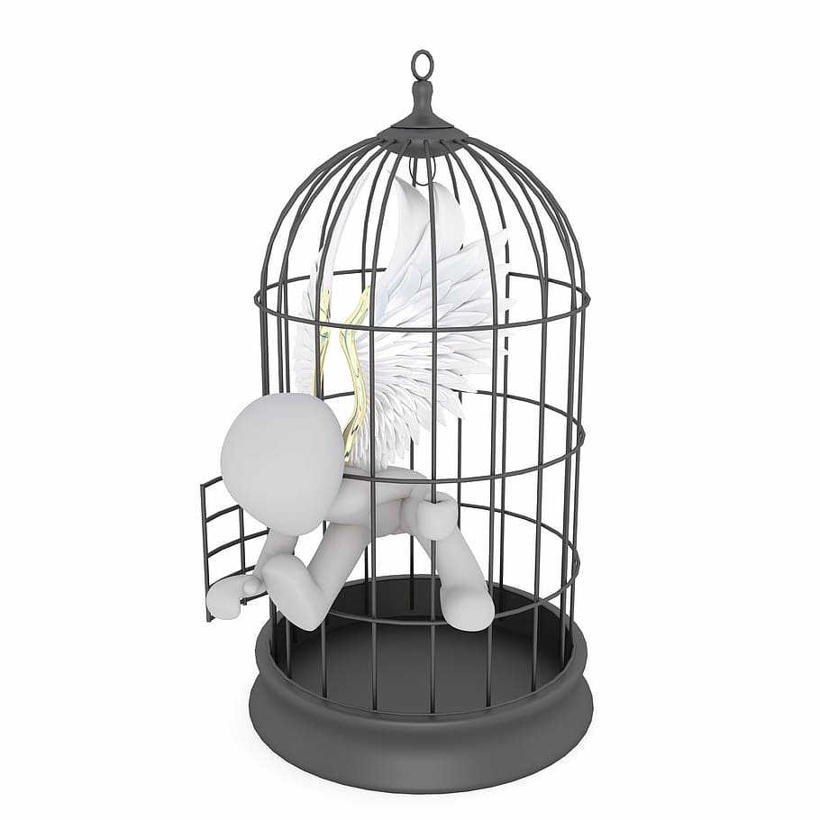 black metal dome birdcage and angel figure, males, 3d model, isolated, HD wallpaper