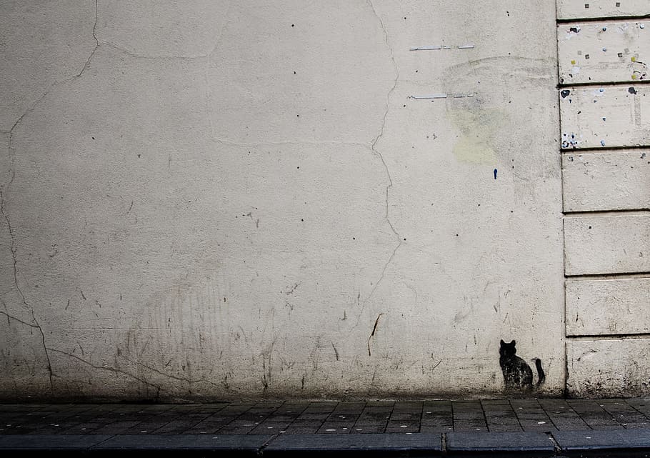 white painted wall with black cat painting, white concrete wall