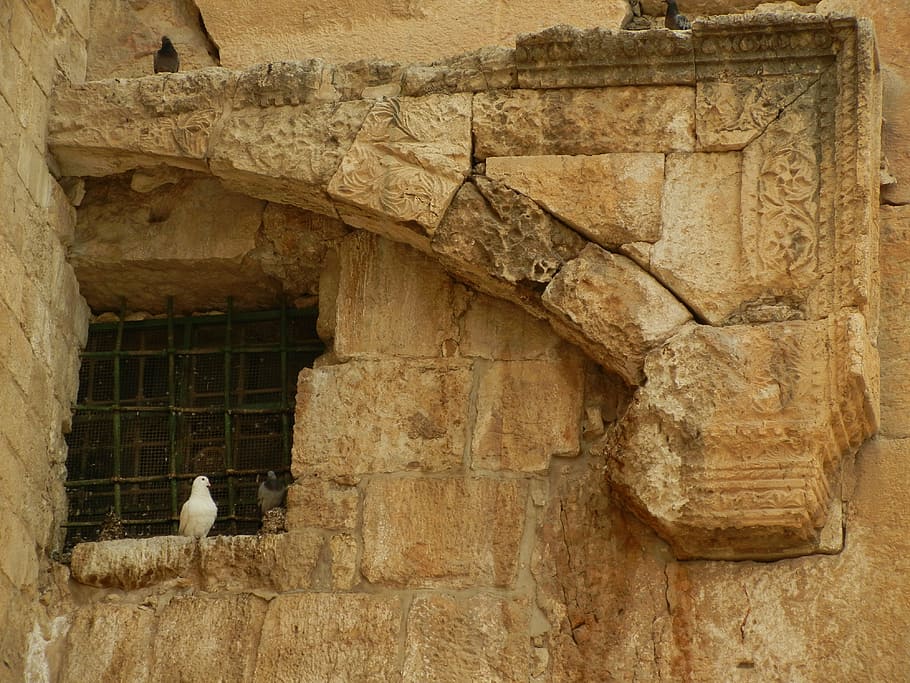 temple wall, southern steps, ancient, jerusalem, peaceful, architecture HD wallpaper