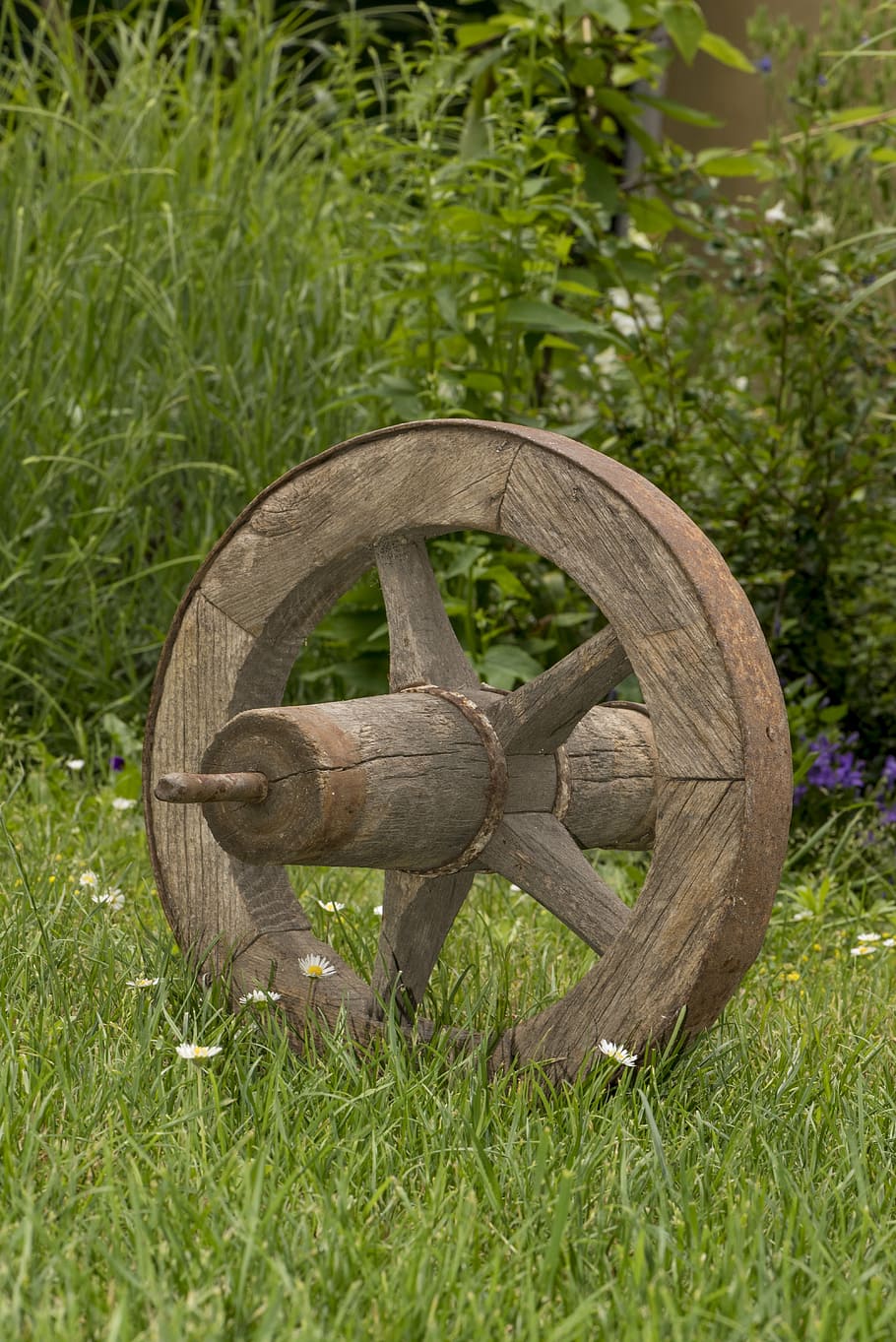 old wheel, cart, dare, from wood, background, district, about
