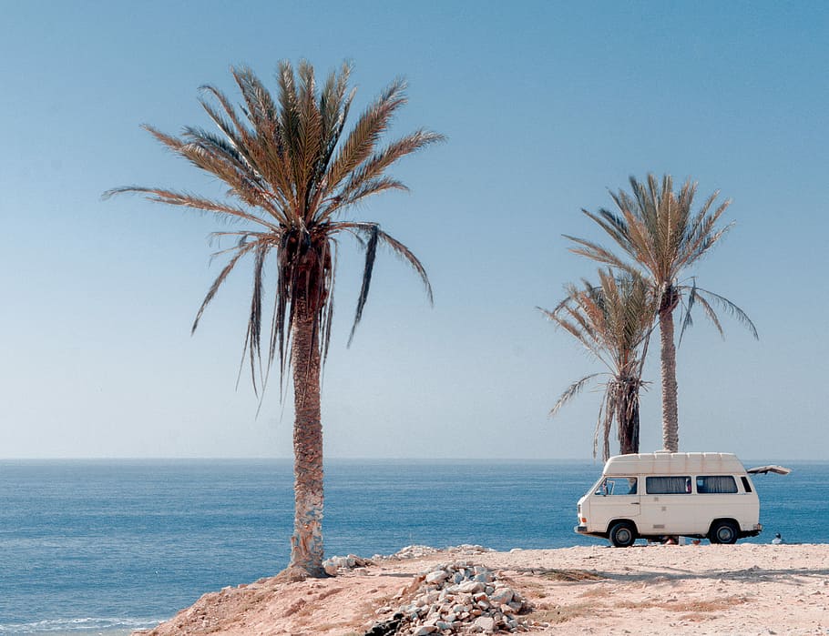 white van near trees, white van beside tree on shore, camper HD wallpaper